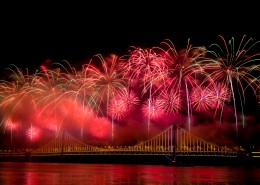 璀璨唯美的烟花图片