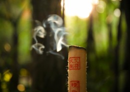 中药艾条图片
