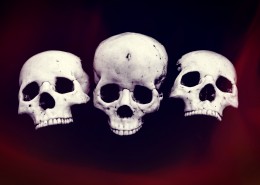 骷髅头骨图片