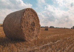 圆形的干草垛图片