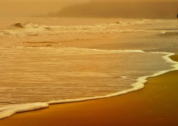 细软的海滩图片