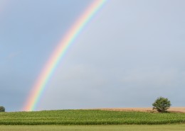 美丽七色的彩虹图片