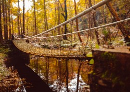 唯美的秋天色彩图片大全