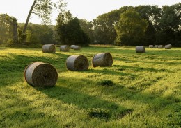 夏日田园里的草垛自然风光图片