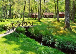 绿油油的郊外风景图片