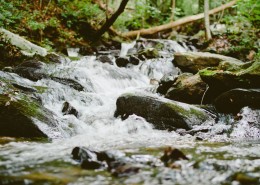 森林小溪山间流水图片