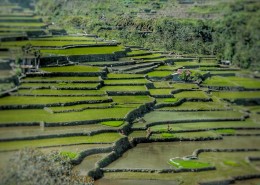 层叠的乡村梯田风景图片