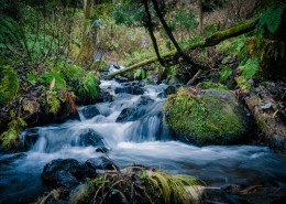 涓涓流淌的溪水图片大全