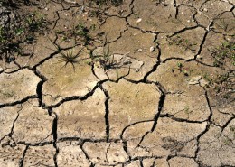 干旱的土地图片