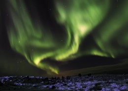 奇特美丽的极光图片