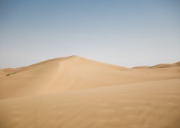 干旱的沙漠图片