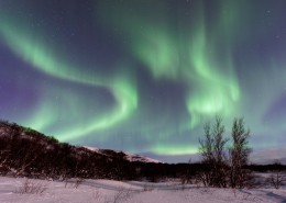 美丽的极光图片