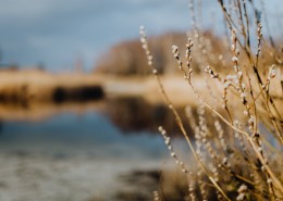 郊外的风景图片