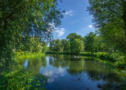 水中的倒影图片