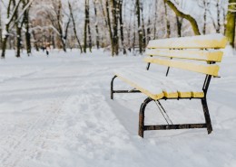 雪地里的公园图片