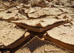 干裂的土地图片大全