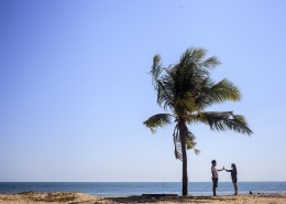 一棵孤独的椰树图片