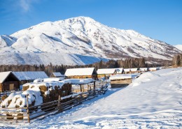 寒冷的冬季雪景图片