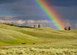 美丽的彩虹图片