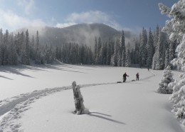 白茫茫的雪景图片