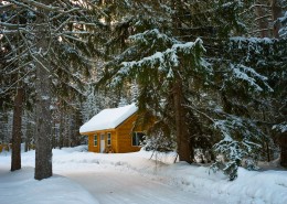 白雪覆盖的冬季图片