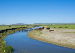 唯美的草原蓝色天空图片