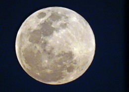 中秋圆圆的月亮图片