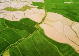 乡村田野风景图片