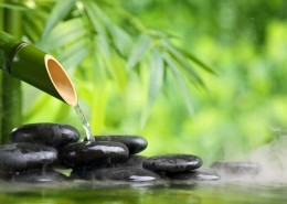 竹子石头景观图片