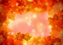 五彩缤纷的枫叶图片