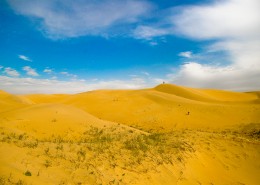 荒芜的沙漠图片