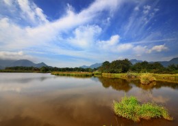 湖北神农架大九湖风景图片