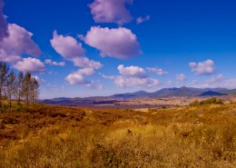 秋日的风景图片