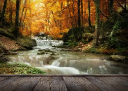 林中木桥边溪流景色图片