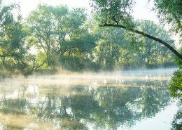 早晨湖泊景色图片