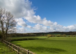 夏日草地风景图片