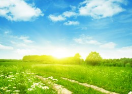 春天草地景色图片