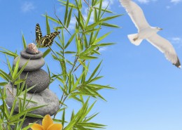 鹅卵石竹子景色图片大全