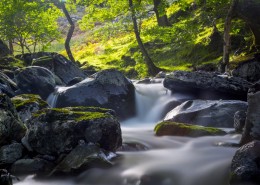 淙淙流水风景图片