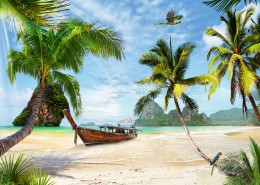 海滩椰子树图片