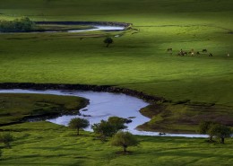 乌兰毛都草原风光图片