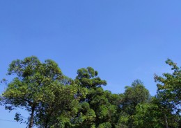 白云蓝天风景图片