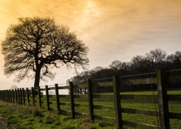 农场风景图片大全