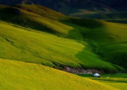 夏天的草原风景图片