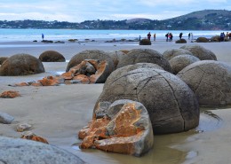 新西兰摩拉基大圆石图片