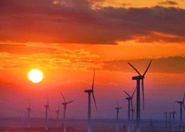 夕阳下的风车图片