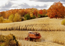 秋天丰收的美景图片大全