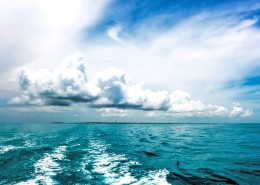 蓝色的大海图片