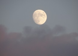 朦胧的月亮图片