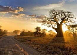 非洲自然景色图片大全